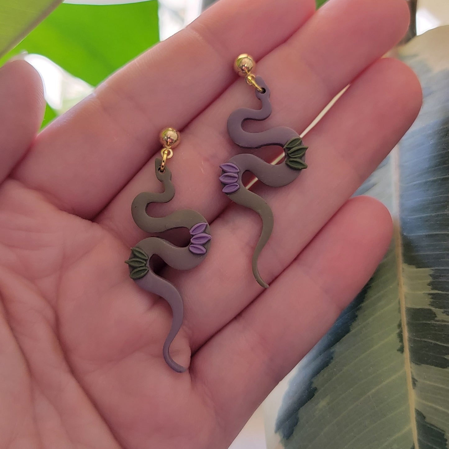 Vine Snakes